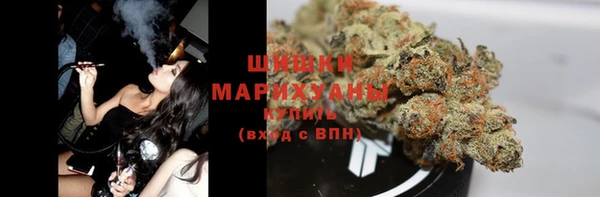 прущий лед Верея
