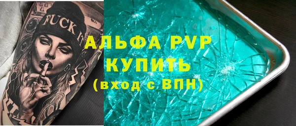 СК Волоколамск